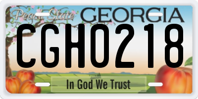 GA license plate CGH0218