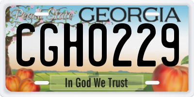 GA license plate CGH0229