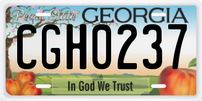 GA license plate CGH0237