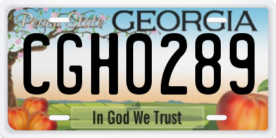 GA license plate CGH0289