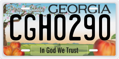 GA license plate CGH0290
