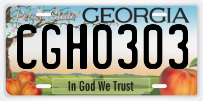 GA license plate CGH0303