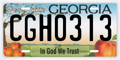 GA license plate CGH0313