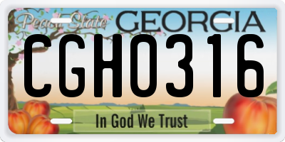 GA license plate CGH0316