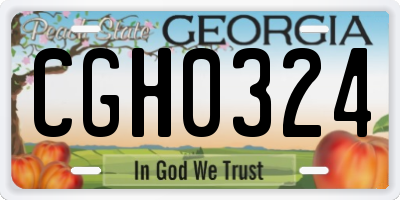 GA license plate CGH0324