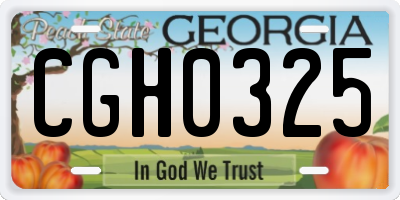 GA license plate CGH0325