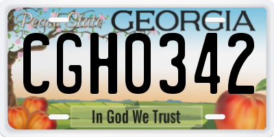 GA license plate CGH0342
