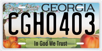 GA license plate CGH0403