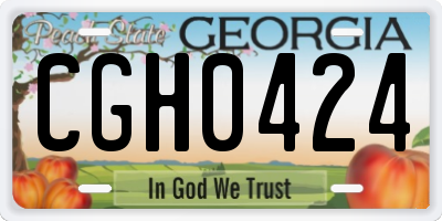GA license plate CGH0424