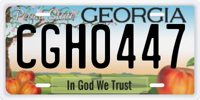 GA license plate CGH0447