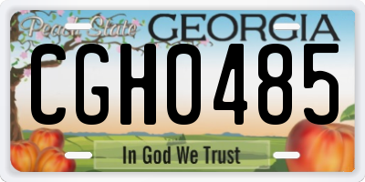 GA license plate CGH0485