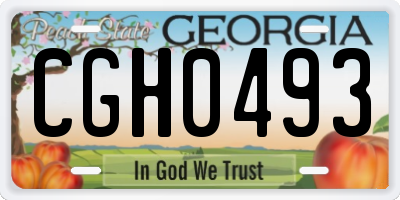 GA license plate CGH0493