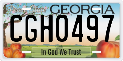 GA license plate CGH0497