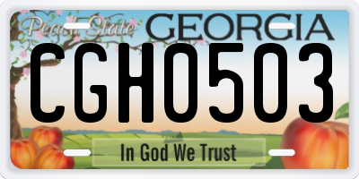 GA license plate CGH0503