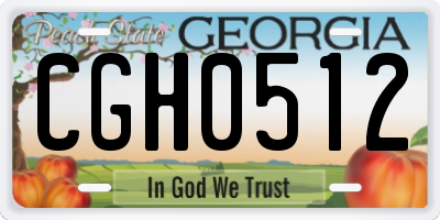 GA license plate CGH0512