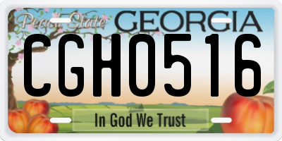 GA license plate CGH0516