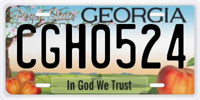 GA license plate CGH0524