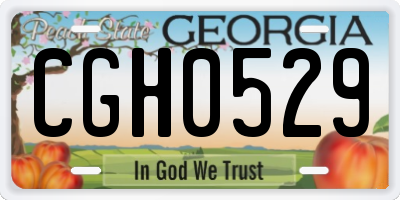 GA license plate CGH0529