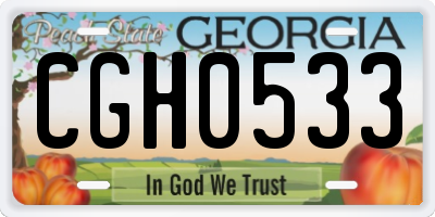 GA license plate CGH0533
