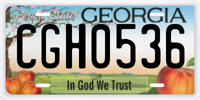 GA license plate CGH0536
