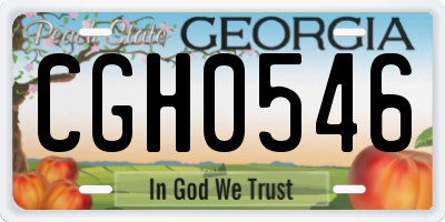 GA license plate CGH0546