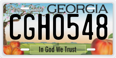 GA license plate CGH0548