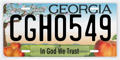 GA license plate CGH0549
