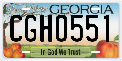 GA license plate CGH0551