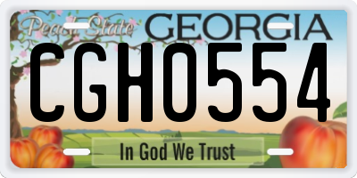 GA license plate CGH0554