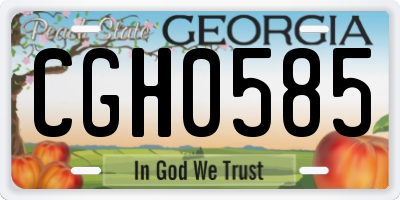 GA license plate CGH0585