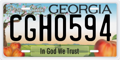 GA license plate CGH0594