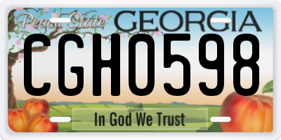GA license plate CGH0598