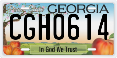GA license plate CGH0614