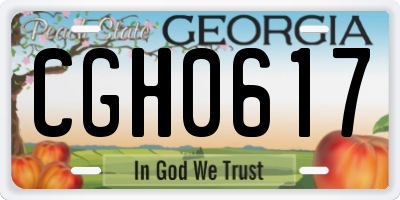GA license plate CGH0617