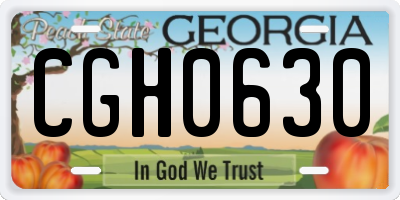 GA license plate CGH0630