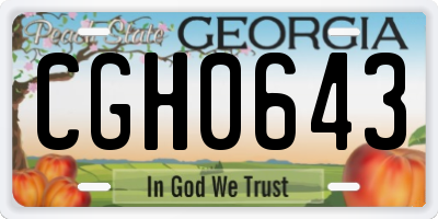 GA license plate CGH0643