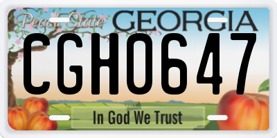 GA license plate CGH0647