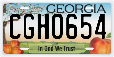 GA license plate CGH0654