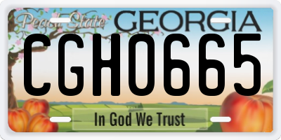 GA license plate CGH0665