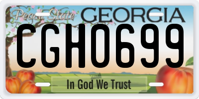 GA license plate CGH0699