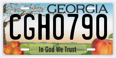 GA license plate CGH0790