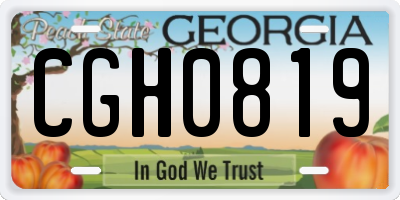 GA license plate CGH0819