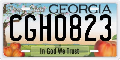GA license plate CGH0823