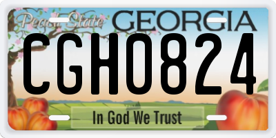 GA license plate CGH0824