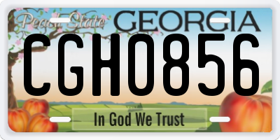 GA license plate CGH0856