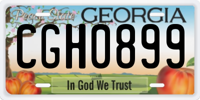 GA license plate CGH0899