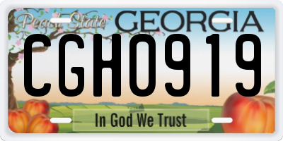 GA license plate CGH0919