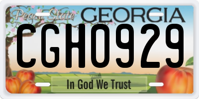 GA license plate CGH0929