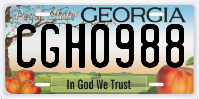 GA license plate CGH0988