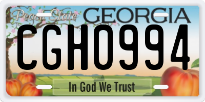 GA license plate CGH0994